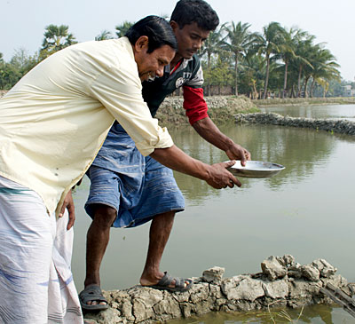 Fish farming on the Ganges